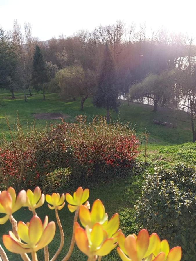 Beautiful Village House Next To Garonne River! Couladere Eksteriør bilde
