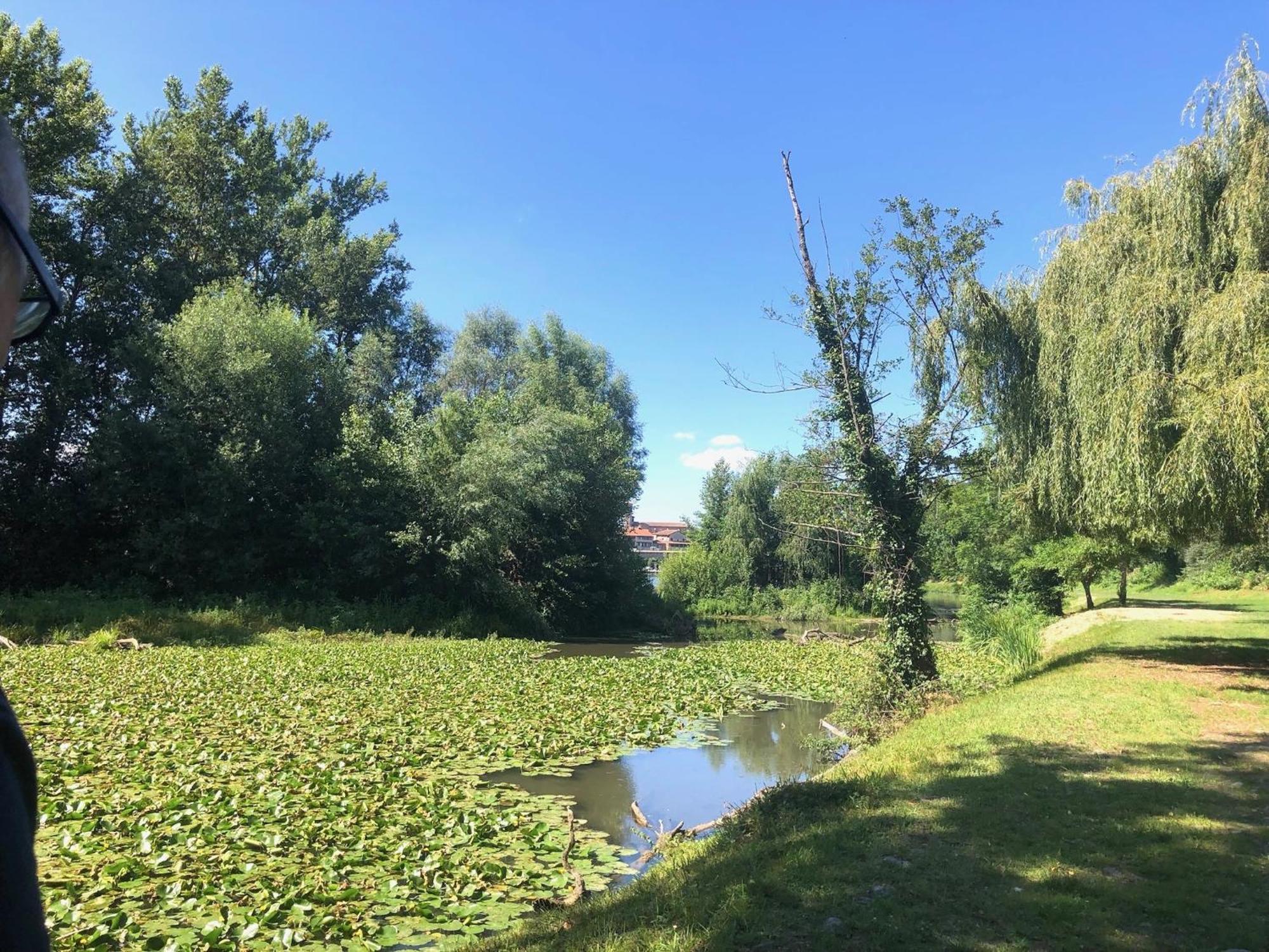 Beautiful Village House Next To Garonne River! Couladere Eksteriør bilde